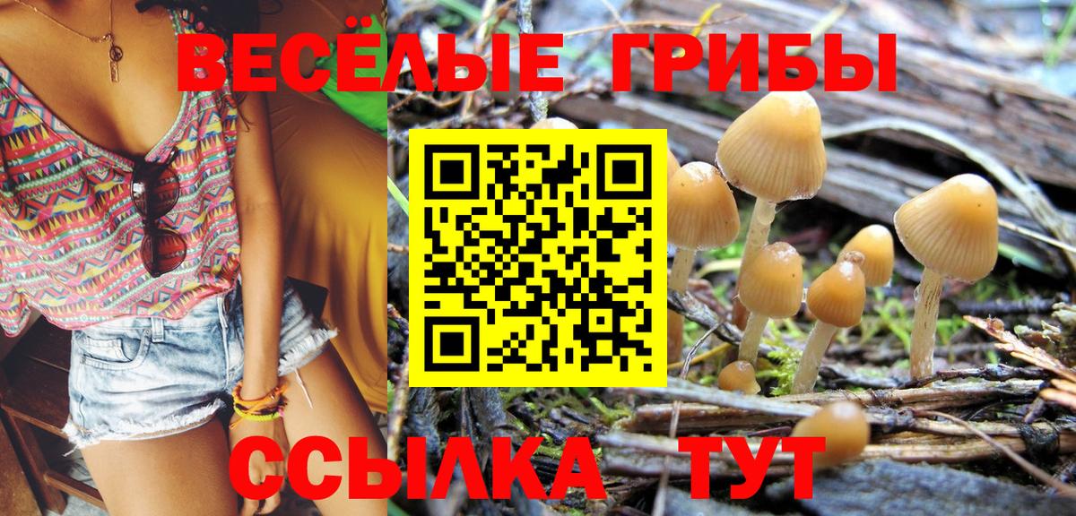 Псилоцибиновые грибы GOLDEN TEACHER Железногорск
